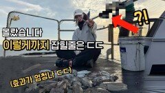 추울수록 효과좋다는 갑오징어낚시 ‘그 비결!’ 이건 상상도 못했는데!?