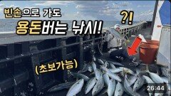 단돈 7만원 방어낚시! 장비, 채비 없이 가도 잔뜩잡는곳?!? ㄷㄷ