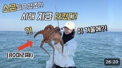 모두 기다린 ‘그 섬’ 문어낚시, 드디어 터졌다!! 믿기지 않는 조황입니다 ㅠㅠ