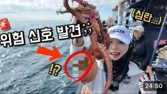 서해 문어 상태의 심각성 ㄷㄷㄷ…바다가 이상 합니다 ㅠㅠ