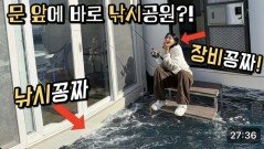 낚시공원에 고급횟감 5천마리 기습방류! 게다가 꽁짜?! ㄷㄷ 지금 가야돼!