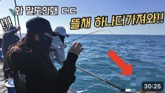 심해 갑오징어 낚시 중 로또 맞았습니다 ㄷㄷ 용돈 벌어가는 방법 해보세요!