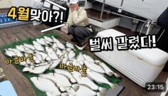 광어 다운샷 탐사 낚시에서 모두가 놀란 이유!? 올해는 꼭 필요하네요!