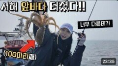 소문들으셨죠?! 서해 알쭈꾸미 낚시 난리가 났습니다! ㄷㄷ