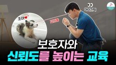 오늘부터 강아지와 눈을 마주쳐보세요