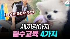 이 4가지만 해도 문제행동 예방 됩니다ㅣ새끼강아지 교육법ㅣ사회성 훈련
