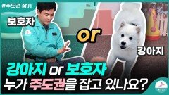 강아지한테 주도권을 빼앗기신 분들을 위한