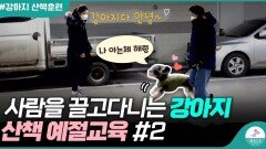 산책할 때 흥분하는 강아지 여기서부터 연습 해주세요