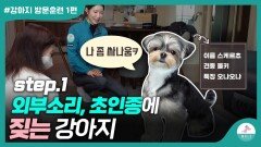 짖는 강아지 혼내지 말고 이것부터 시작 해주세요