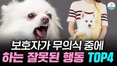 나도 모르는 사이에 문제행동을 키우는 보호자 행동 TOP4