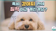 강아지한테 질척 거리면 안좋은 이유