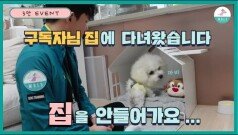 비숑프리제ㅣ새끼강아지 교육ㅣ강아지 방문훈련ㅣ퍼피 클래스ㅣ1편