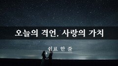 오늘의 격언, 사랑의 가치