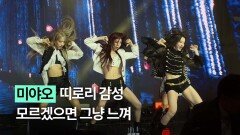 퍼폼퀸 미야오는 도입부부터 무대 찢어…