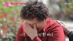 엄마의 참아왔던 눈물을 다독여 주는 다현표 위로 ‘엄마의 노래’ TV CHOSUN 230430 방송