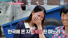 아픈 시어머니를 돕는 복덩이 베트남 며느리 TV CHOSUN 230924 방송