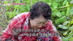 순옥 엄마네 한 지붕 두 가족_엄마의 봄날 528회 예고 TV CHOSUN 251026 방송