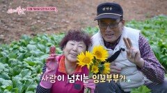 개미와 베짱이 부부_엄마의 봄날 534회 예고 TV CHOSUN 251207 방송