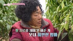 종님 엄마의 겨울 지나 봄날_엄마의 봄날 541회 예고 TV CHOSUN 260125 방송