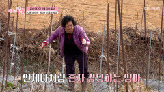 남편과의 사별 이후 가족의 생계를 모두 책임졌던 엄마🥺 TV CHOSUN 260125 방송