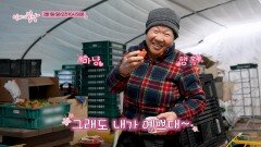시큼달콤한 딸기 부부_엄마의 봄날 542회 예고 TV CHOSUN 260201 방송