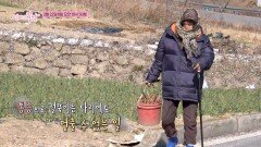 섬과 바다를 품은 분순 엄마_엄마의 봄날 545회 예고 TV CHOSUN 260222 방송