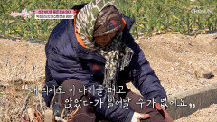 마음처럼 움직이지 않는 몸 힘겨운 하루에도 멈추지 않는 엄마 TV CHOSUN 260222 방송