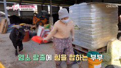 동상이몽 염소 패밀리‍‍ 엄마의 염소 사랑은 현재진행형 TV CHOSUN 260301 방송