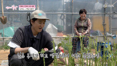 서운함 폭발 일을 봄날지기가 하는데 물은 엄마한테만 주는 사랑꾼 아빠🤣 TV CHOSUN 260503 방송