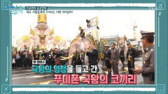 국왕의 영정을 들고 가는 태국의 코끼리