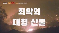 백두대간 산불1년 그 이후_TV CHOSUN 특집다큐 예고 TV CHOSUN 260322 방송