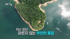 부안댐 30주년, 물길 위의 삶_TV CHOSUN 특집다큐 예고 TV CHOSUN 261031 방송