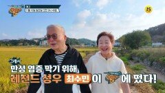 만성 염증 막기 위해 레전드 성우 최수민이 알맹이에 떴다!_알맹이 298회 예고 TV CHOSUN 241110 방송