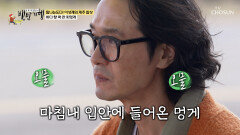 제주 바다가 보이는 비주얼 해녀가 갓 잡아서 더 싱싱한 해산물 모둠🤗 TV CHOSUN 251207 방송