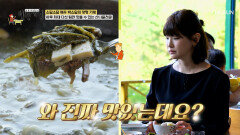 감탄사 연발 자연이 내어준 천연 보약 산나물 전골🥬 TV CHOSUN 260607 방송
