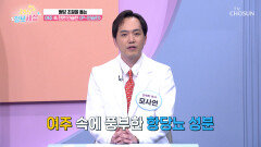 🥒여주🥒 치솟는 혈당 잡고 당뇨 관리 돕는 도깨비방망이 TV CHOSUN 251023 방송