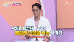 구기자 혈관 속 지방을 배출하고 복부 비만에 도움 TV CHOSUN 251029 방송