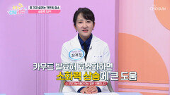 🤎카무트 효소🤎 체내 장독소를 배출하고 소화력 UP⬆ TV CHOSUN 251031 방송