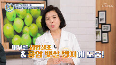 뱃살타파 다이어트에 도움주고 장까지 생존하는 ‘LGG유산균’ TV CHOSUN 20220519 방송