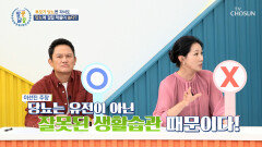 ‘당뇨’에 대해 알아보는 시간 찐 남매의 OX퀴즈 TV CHOSUN 231116 방송