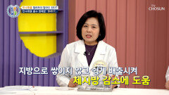 🤍BNR17🤍 탄수화물과 요요현상은 OUT 건강한 중년 다이어트의 첫걸음 TV CHOSUN 260319 방송