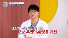 모발 건강 유산균 LB-P9 무너진 모발 환경 개선하고 탈모 걱정은 끝 TV CHOSUN 260514 방송
