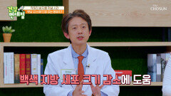 ‘BNR17‘이 혈당 조절과 다이어트에 도음을 주는 이유! TV CHOSUN 240121 방송