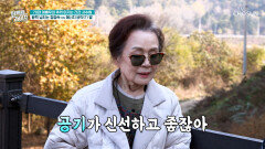 활력 넘치는 배우 정영숙의 힐링 건강법 한탄강 산책‍️ TV CHOSUN 251126 방송