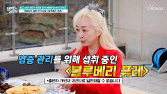 블루베리 퓨레 불청객 활성산소와 체내 쌓인 염증을 제거해 주는 청소부🧹 TV CHOSUN 260422 방송