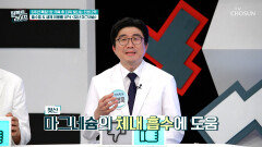🤍젖산 마그네슘🤍 흡수율 UP⬆ 염증부터 암까지 예방에 도움 주는 열쇠 TV CHOSUN 260624 방송