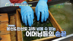 정성만점 수작업 감태 말리기~✧ #광고포함| TV CHOSUN 20201213 방송