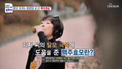맥주효모 속 강력한 항산화력으로 탈모 예방 TV CHOSUN 240331 방송
