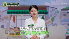 🧡CCA 주스🧡 뱃살은 안녕 염증 부르는 복부 비만 타파 비결 TV CHOSUN 251217 방송