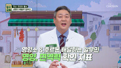 ⭐알부민⭐ 혈관 타고🩸 온몸에 건강 물질 전달하는 영양소 배달부 TV CHOSUN 260107 방송